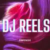 DJ Reels - Swende - Single